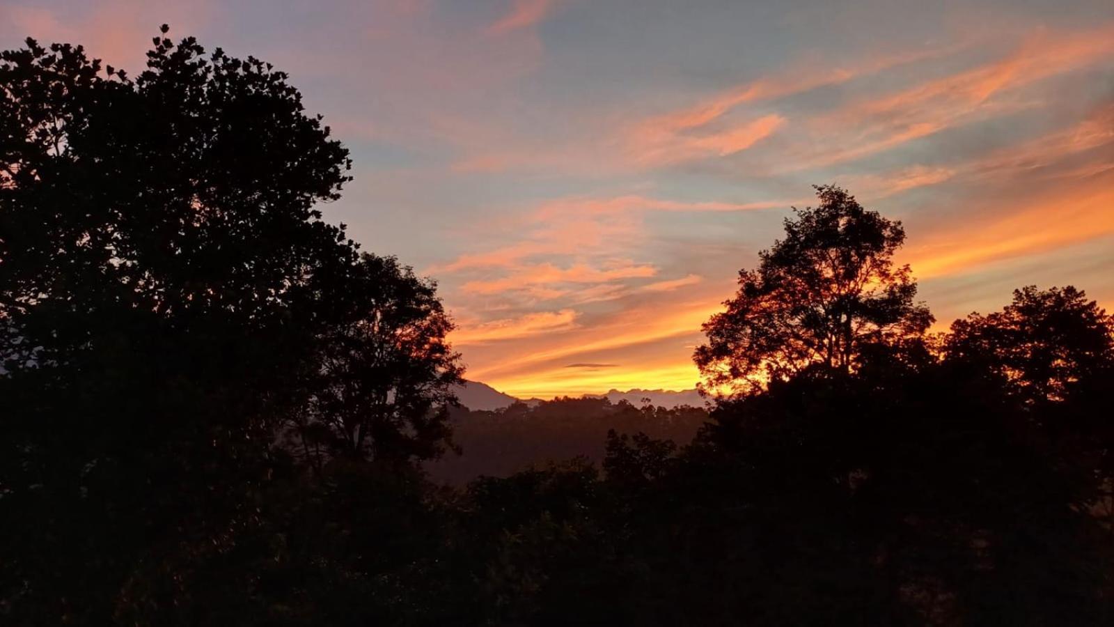 Hostel 3R Residency Munnar Zewnętrze zdjęcie